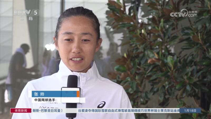 许多专家指