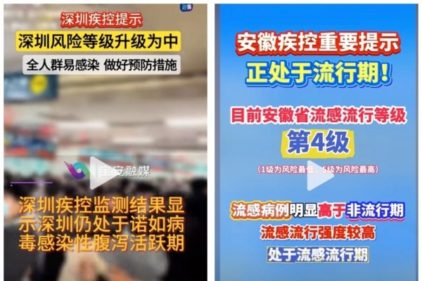 球队的整体