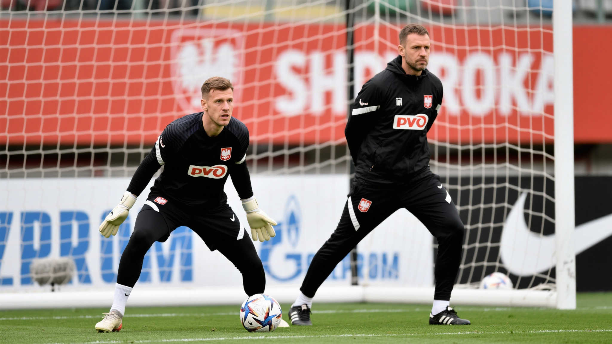 明星球员 明星球员