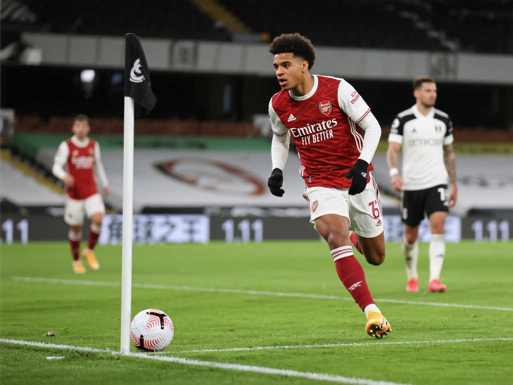 玫瑰圖案 玫瑰圖案