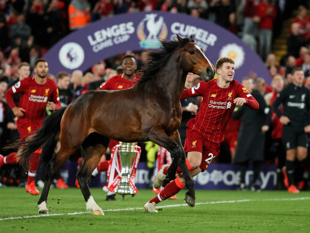 案例分析 案例分析